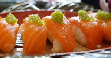 Visit and Taste - Catering