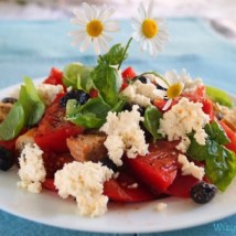 Visit and Taste - Catering